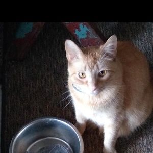 Meet your Posher, Linda